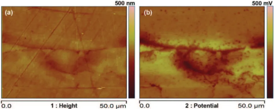 Figure 4. Topographical (a) and KFM potential (b) maps plotted around a corrosion defect grown on a 2024 T351 aluminium alloy during exposure to a 1 M NaCl solution.