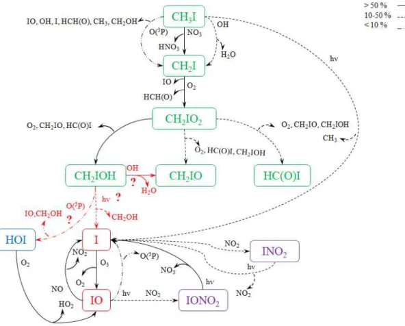 Figure III-7 : Schéma représentatif du mécanisme réactionnel de l’iode suite à une injection de 1,96  ppt de CH 3 I à 7h le 1 janvier 2013 (Test WDL-CH 3 I)