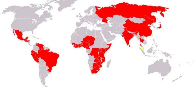 Figure 5 : Répartition du choléra dans le monde en 2004 (9) 