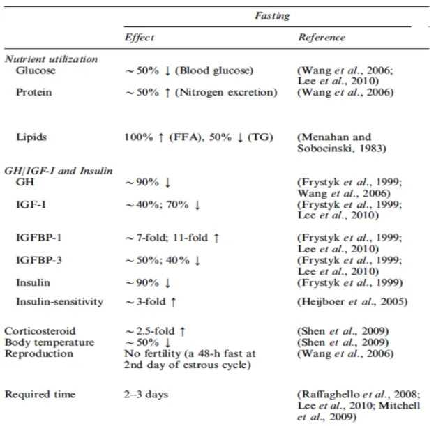 Tableau  1  :  Réponses  physiologiques  au  jeûne  chez  les  rongeurs  d’après  les  études  disponibles (26)