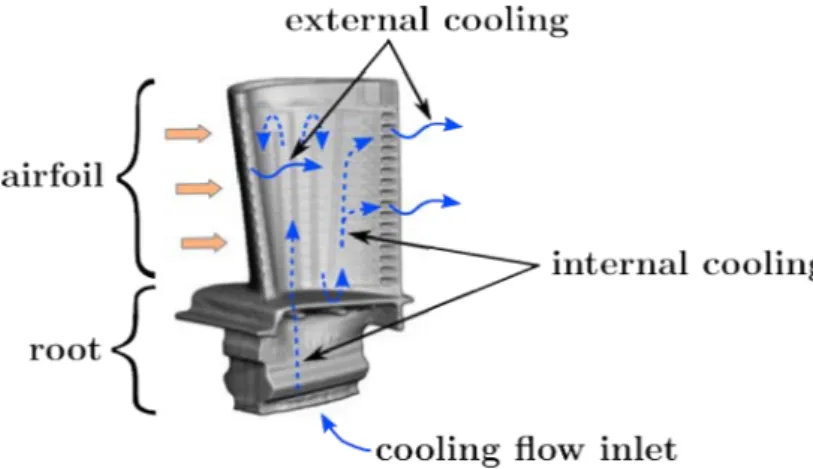 Figure 2.4: Cooling flow in a turbine blade. Internal serpentine channels are visible by transparency.