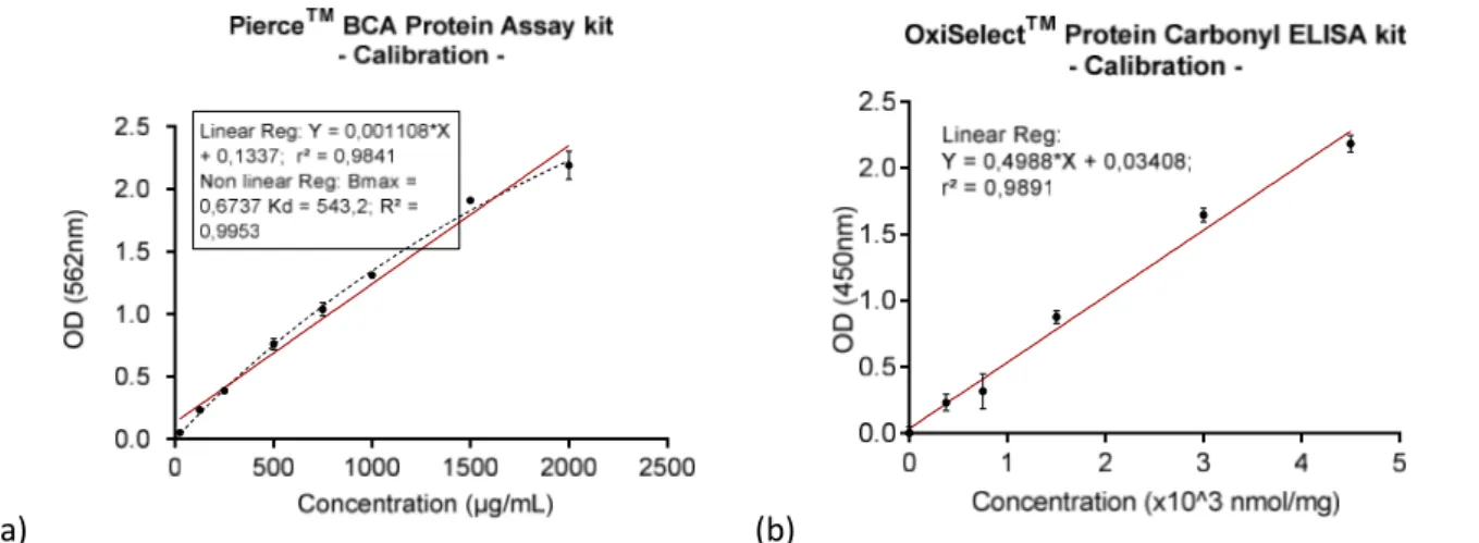 Figure 9 :  Courbes de régression de la gamme de calibration pour la quantification des protéines totales (µg/mL) (a)  et le dosage des protéines carbonylées (nmol/mg) (b) 