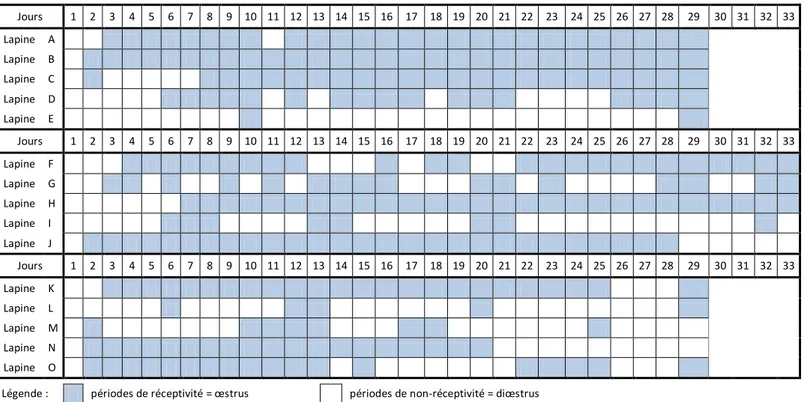 Figure 4 : Réceptivité et acceptation du mâle chez des lapines pubères nullipares. D’après MORET [33] 