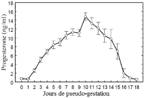 Figure 12 : Concentration plasmatique en progestérone durant la pseudo-gestation. D’après BOITI et al