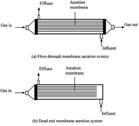Figure 8 : Schéma des différents modes d’aération par membrane avec (a) des fibres ouvertes et (b) des  fibres fermées (Li et al., 2008) 
