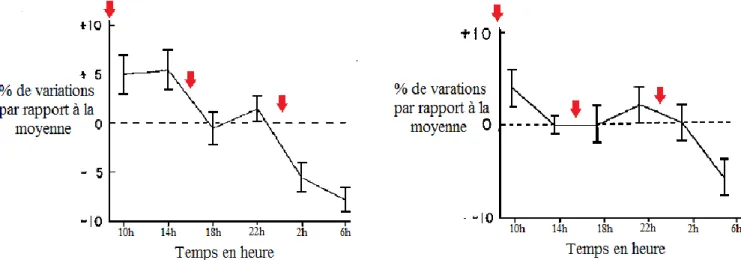Figure  7 :  Variations  de  la  concentration  en  cuivre  (à  gauche)  et  en  céruloplasmine  (à  droite)  sur  24h,  chez  l’homme