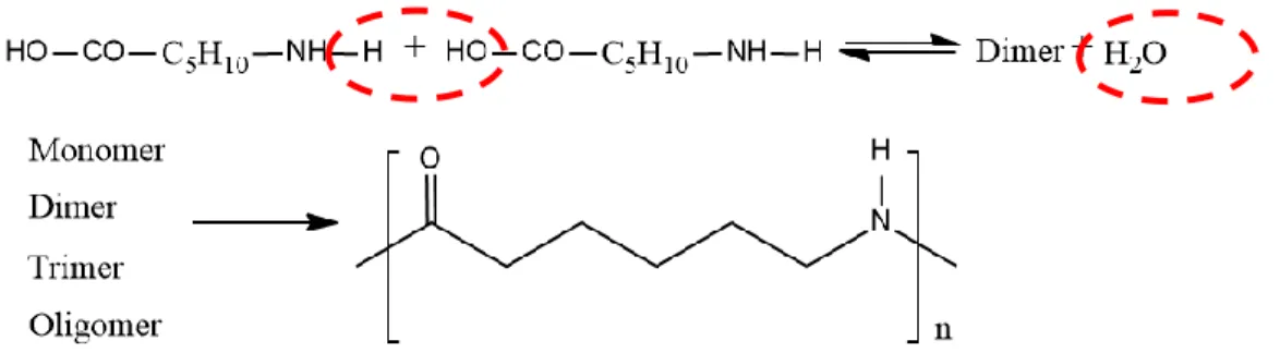 Figure 4. Main types of architecture of polymer chain 