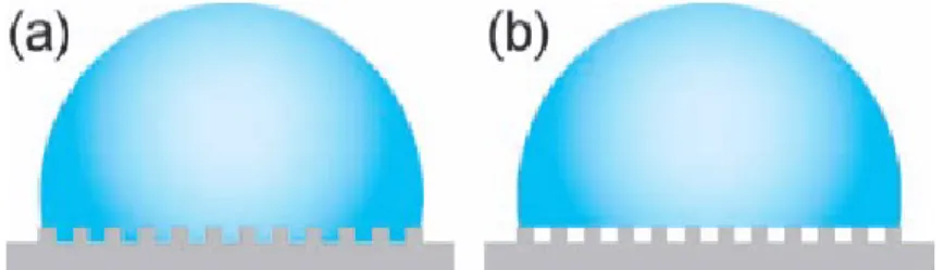 Figure 11. Static contact angle of water droplet on rough surface: (a) Wenzel‘s model