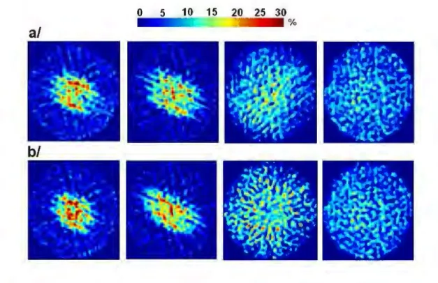 Figure 1:  Liquid hold-up maps for 2 runs with air and water in Mellapak 250.X, qL=I6 m 3 /m 2 h,  al  case A:  F s=0.74Pa 0·5,  b/ case B: F s=2.21Pa 0·5•  (Positions from left to right:  Z],  z 2,  z 3  &amp; z 4)