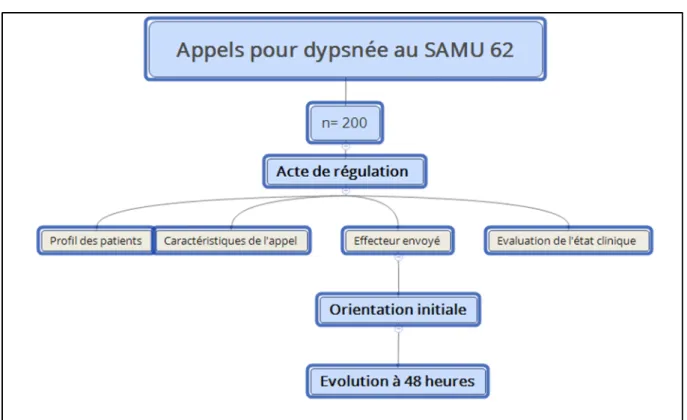 Figure 2. Schéma de l’étude 