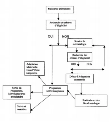 Figure 1 : Schématisation de la prise en charge MMK.