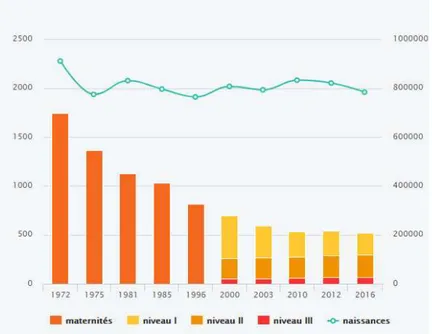 Graphique représentant le niveau de l’offre de soins néonatals : Source : Dress, FFRSP (ANNE-AËL DURAND, 2018) 