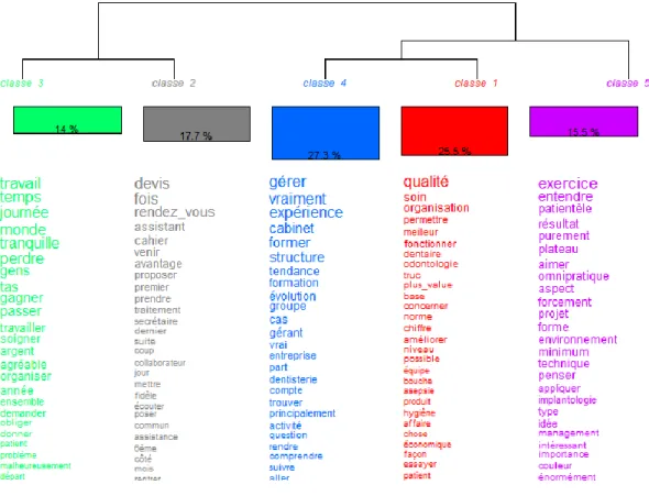 Figure 5 : Différentes classes de mots du corpus (dendrogramme phylogramme) avec les  formes les plus associées à chaque classe 
