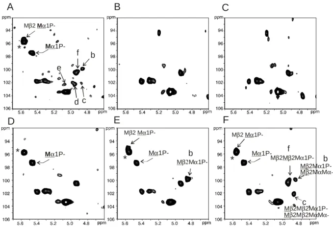 Figure 3 HR-MAS NMR analysis of six intact living C. albicans cells.  1 H- 13 C HSQC HR-MAS  NMR  experiments  of  intact  cells  permitted  to  establish  the  in  vivo  structure  of   phosphodiester-linked  side  chains  of  the  cell  wall  associated 
