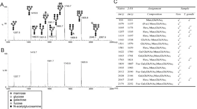 Figure  2  MALDI-TOF/MS  comparison  of  native  PNGase  F  released  oligosaccharides  from  (A)  Vero  cells  and  (B)  T