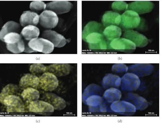 Figure 8: Electron microscope images and elemental cartography of mSiO 2 -Eu(TTA) 3 (Phen-Si)