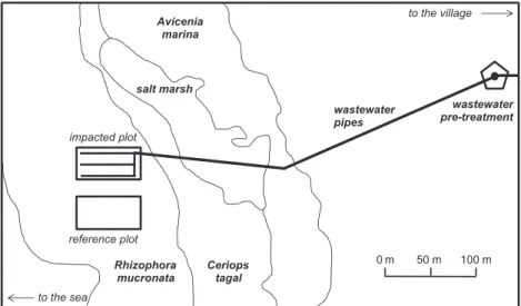 Fig. 1. Mangrove study area and land cover on Mayotte Island in the Indian Ocean.