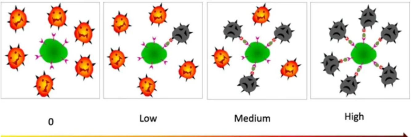 Figure 17. La puissance destructrice des cellules CAR-T peut être ajustée et programmée en  modifiant la concentration des molécules intercellulaires solubles (3)