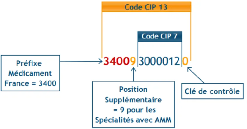 Figure 1 : Description du code CIP 13 