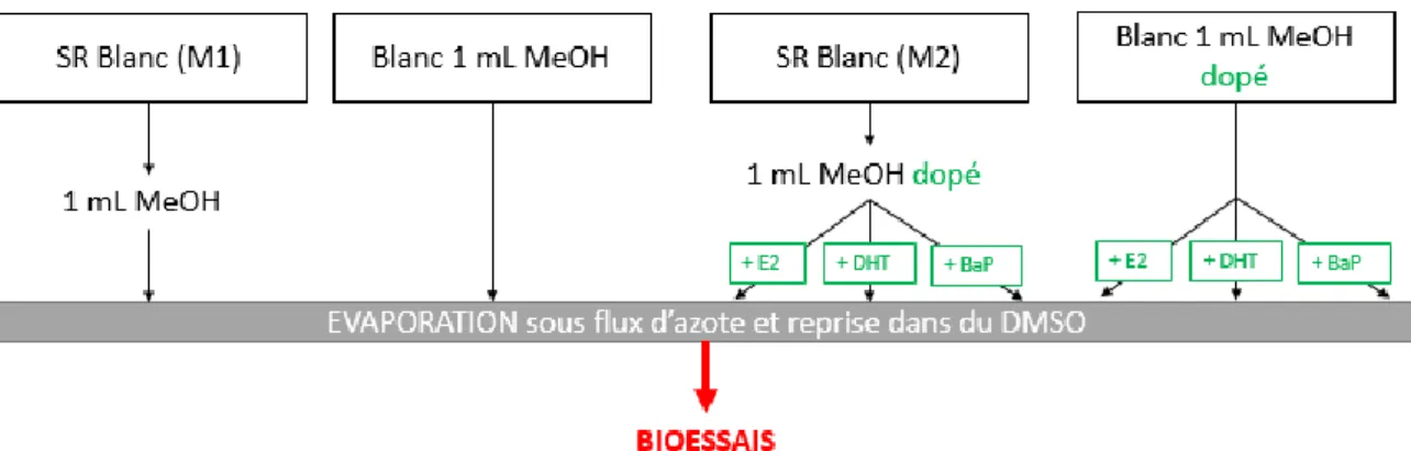 Figure 13 : Principe de l'expérience de validation du protocole d'extraction des membranes SR  M1 : blanc d’extraction de membranes SR non dopé ; M2 : blanc d’extraction de membranes SR dopé  avec les molécules de référence de chaque test