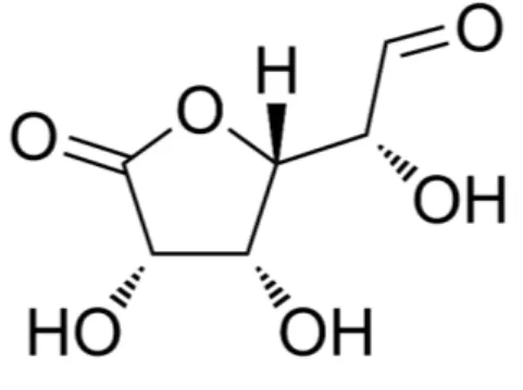 Figure 6 : Structure chimique du glucuronolactone   