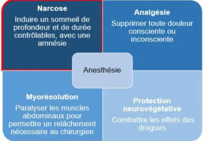Figure 11 : les quatre composantes de l’anesthésie 