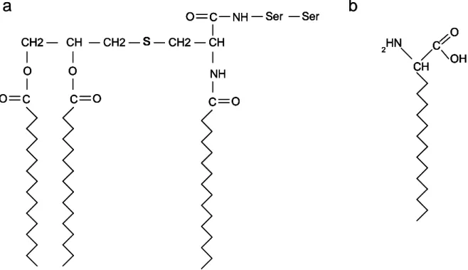 Figure  5 :  (a)  Structure  chimique  du  tri  palmitoyl-S-Glycéryl-Cystéinyl-Séryl-Sérine  utilisé  par le groupe de Deres et al