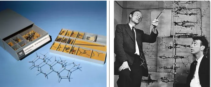 Figure 6 : Modèles de Dreiding à gauche (37) ; Élucidation de la structure tridimensionnelle en double  hélice de l’ADN par Watson &amp; Crick en 1962 à droite (38) 