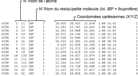 Figure 11 : Exemple de table de connexion au format PDB pour l’Ibuprofène (Identifiant PDB : 4PH9) (63) 
