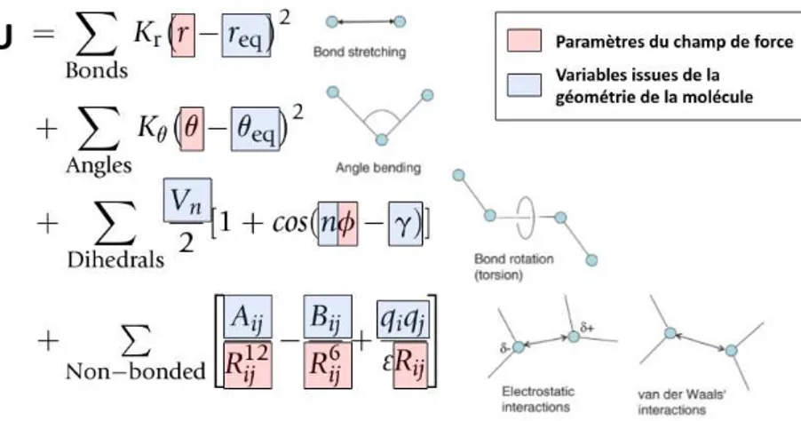 Figure 18  : Equation de l’énergie potentielle d’un système et de la signification des différents termes,  avec la mise en évidence de la contribution du champ de force (en rouge) et de la géométrie de la 