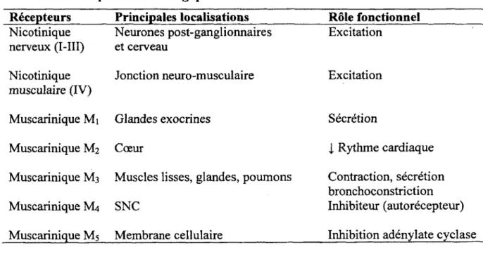 Tableau 2. Récepteurs cholinergiques