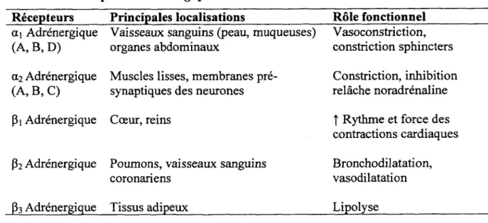Tableau 3. Récepteurs adrénergiques