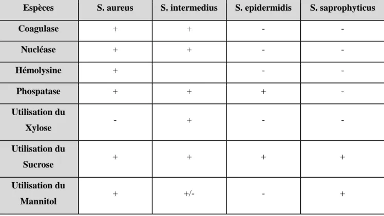 Figure 3 : Liste non exhaustive des critères de différenciation des espèces du genre Staphylococcus [Hill, 1981].