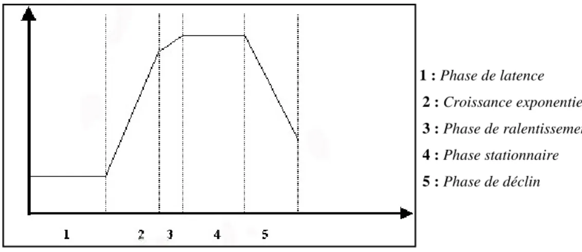 Figure 7 : Courbe de croissance du Staphylococcus aureus en milieu non renouvelé [Courcol, 2006]