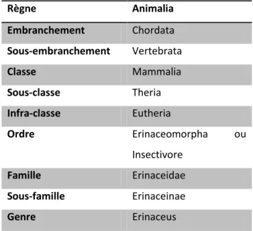 Tableau 1: Classification des hérissons 