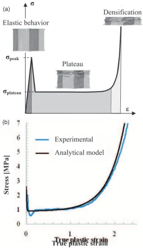 Figure 7. (a) Theoretical compression curve and (b) Experimental and analytical curves in quasi-static compression.