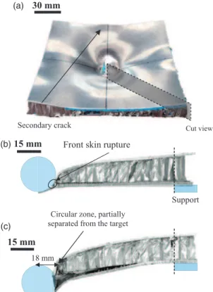 Figure 2. A 1 target: (a) front view; (b) side view, 45  cut and (c) A 2 target, side view, 45  .
