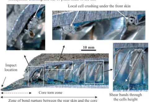 Figure 3. Zoom of the A1 profile after impact: location of honeycomb crushing and shear bands.