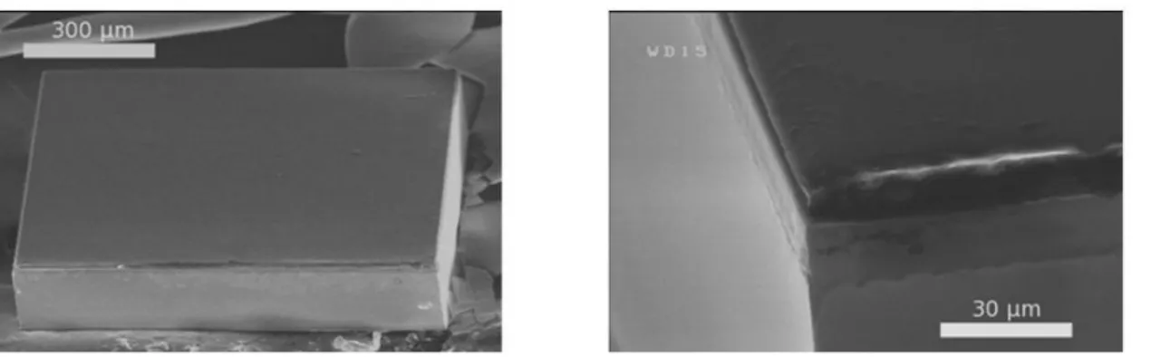 Fig. 1.6  : Photographies MEB d’une puce de verre découpée avec un laser femtoseconde  [23] 