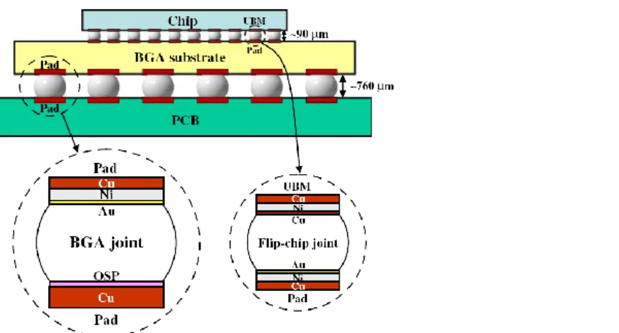 Fig. 1.30  : Schéma montrant deux types de joints utilisés en packaging microélectronique, le BGA joint  et le Flip chip joint [117]  