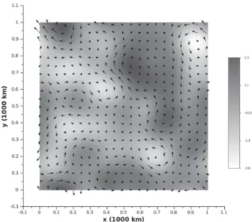 Figure 1. Stream function used to create the displacement field. The arrows indicate the direction and the intensity of the associated displacement.