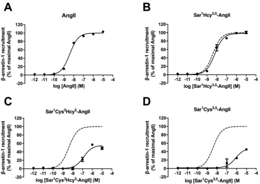 Figure 8 : βarr1 recruitment to the AT 1 R by AngII cyclic analogs. HEK293 cells co-transfected  with  the  fusion  protein  RLucII-βarr1  and  the  reporter  AT 1 R-GFP10  were  stimulated  with  increasing  concentrations  of  AngII  (A),  [Sar 1 Hcy 3,5