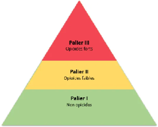 Figure 1 : Les paliers de la douleur selon l'OMS 