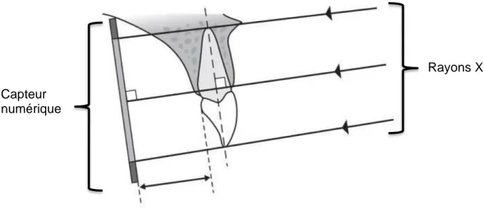 Figure 1: Technique des plans parallèles (3) 