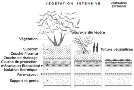 Figure 2.10 – Différents types de toitures végétalisées. Source : GARDEN-DECO.BE