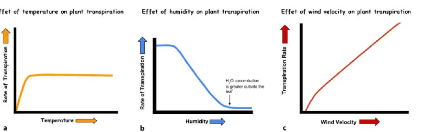 Figure 2.12 – Processus physiques principaux à l’origine des modifications radiatives et thermiques du climat urbain