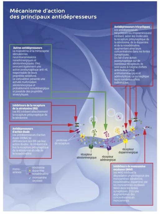 Figure 3 : Mécanisme d'action des antidépresseurs, provenant du Moniteur des pharmacies  Cahier  2  N°324-  6  octobre  2018  (69)