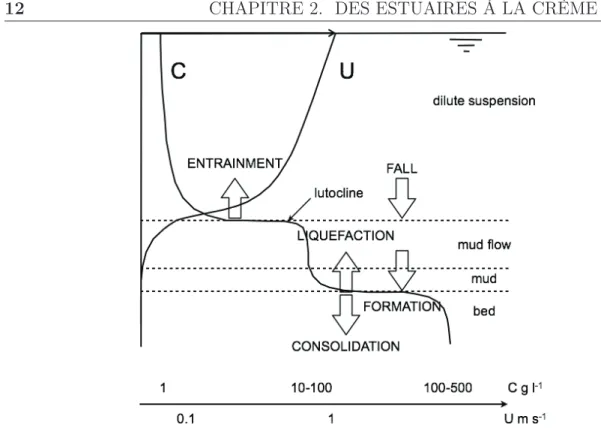 Figure 2.6 – Profils verticaux schématiques de la concentration et de la vitesse, d’après Mehta et al