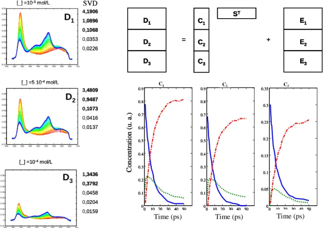 Fig. 2.3 Analyse de la matrice augmentée en colonnes D = [D 1 ; D 2 ; D 3 ]. Les profils cinétiques  individuels [C 1 ; C 2 ; C 3 ] sont proposés