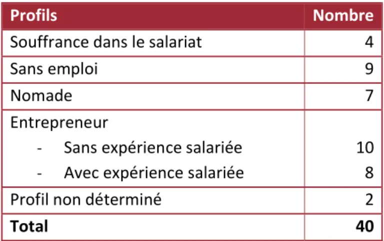 Tableau n°9 : Profils des entrepreneurs-salariés de l’échantillon 